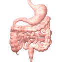 General Surgery