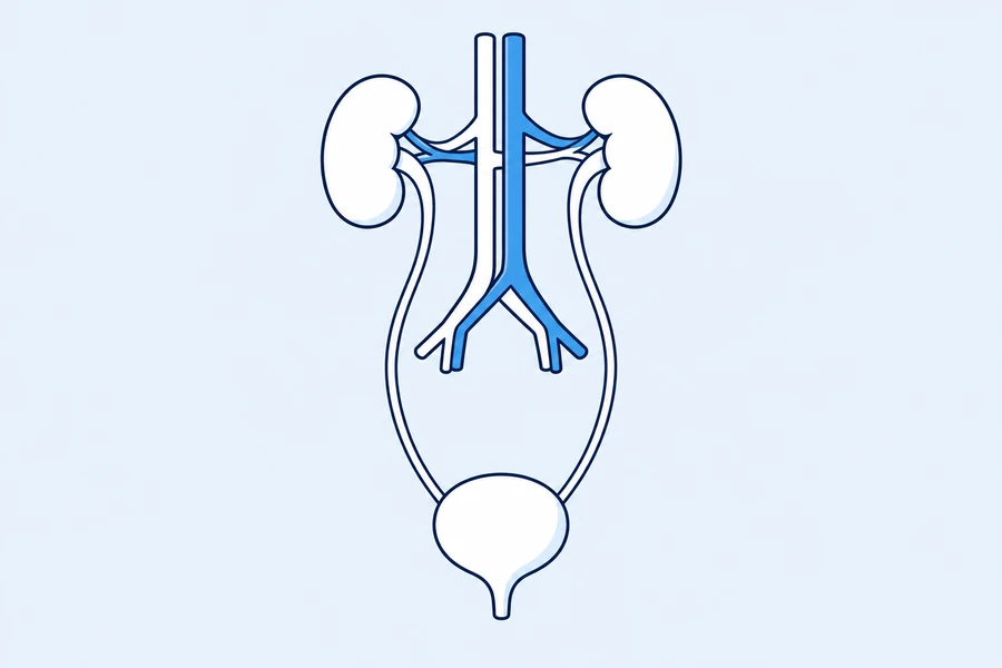Urology